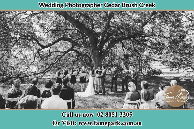 Wedding ceremony under the big tree photo Cedar Brush Creek NSW 2259