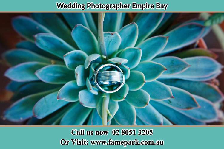 Photo of the wedding ring design at the top of the plant Empire Bay NSW 2257