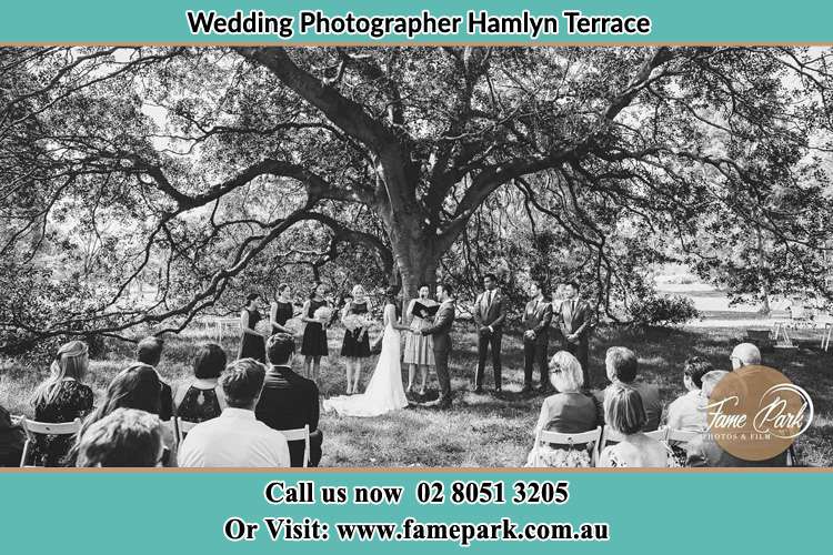 Photo of a wedding ceremony under the big tree Hamlyn Terrace