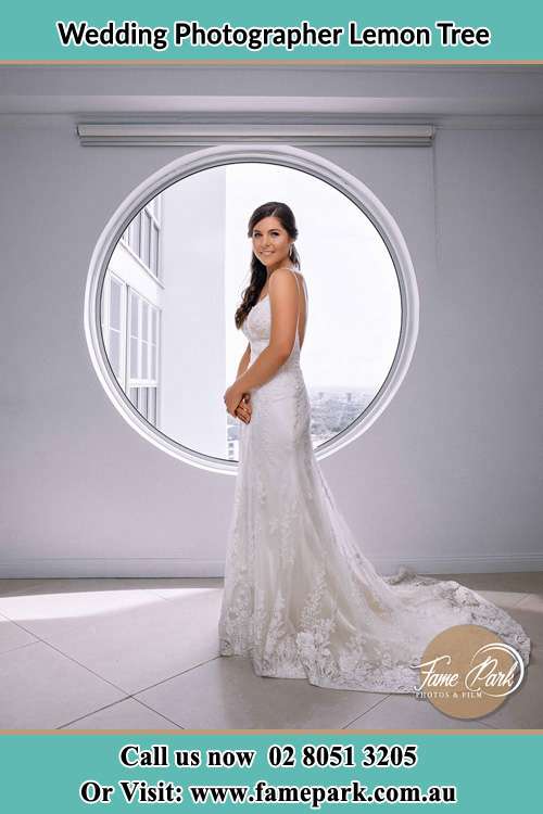 Photo of the Bride near the window Lemon Tree NSW 2259