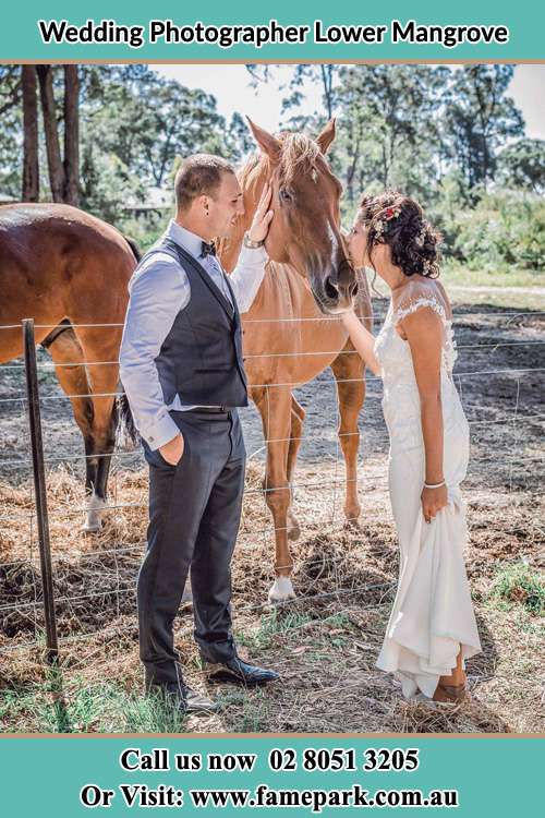 Photo of the Groom and the Bride caressing a horse Lower Mangrove NSW 2250