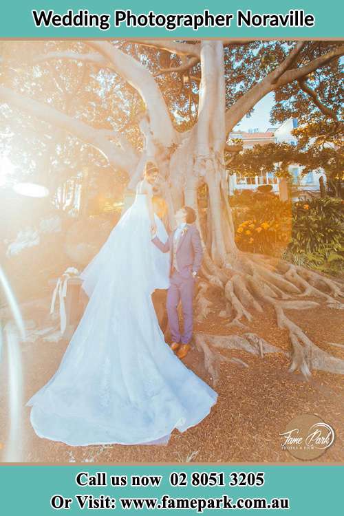 Photo of the Bride and the Groom looking each other besides the tree Noraville NSW 2263