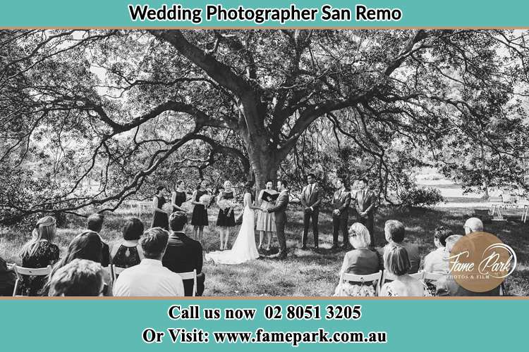 Wedding ceremony under the big tree photo San Remo NSW 2262