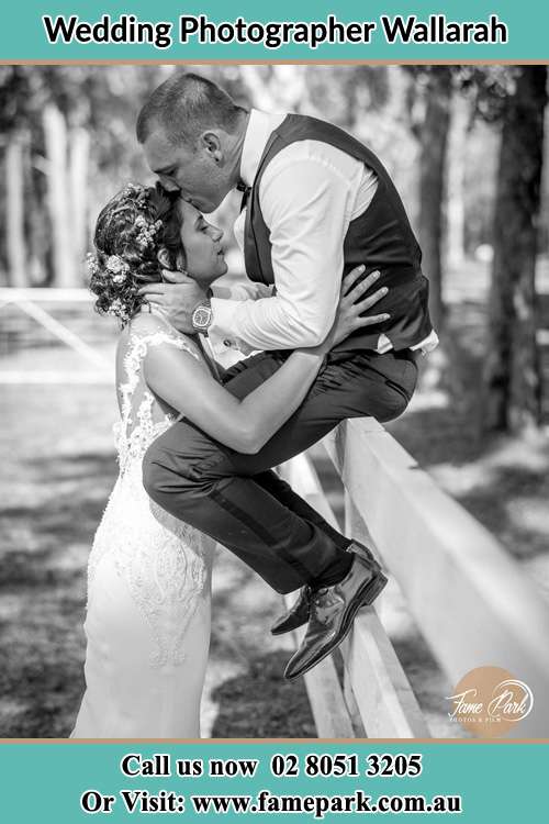 Photo of the Groom sitting on the fence kissing the Bride at the forehead Wallarah NSW 2259